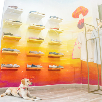 Nuestra historia… de un viaje a Pachas.